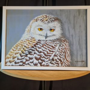 Sneeuwuil