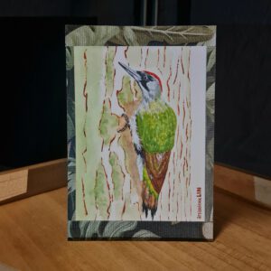 Groene specht